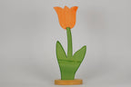 Tulpe groß orange