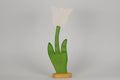 Tulpe groß weiß