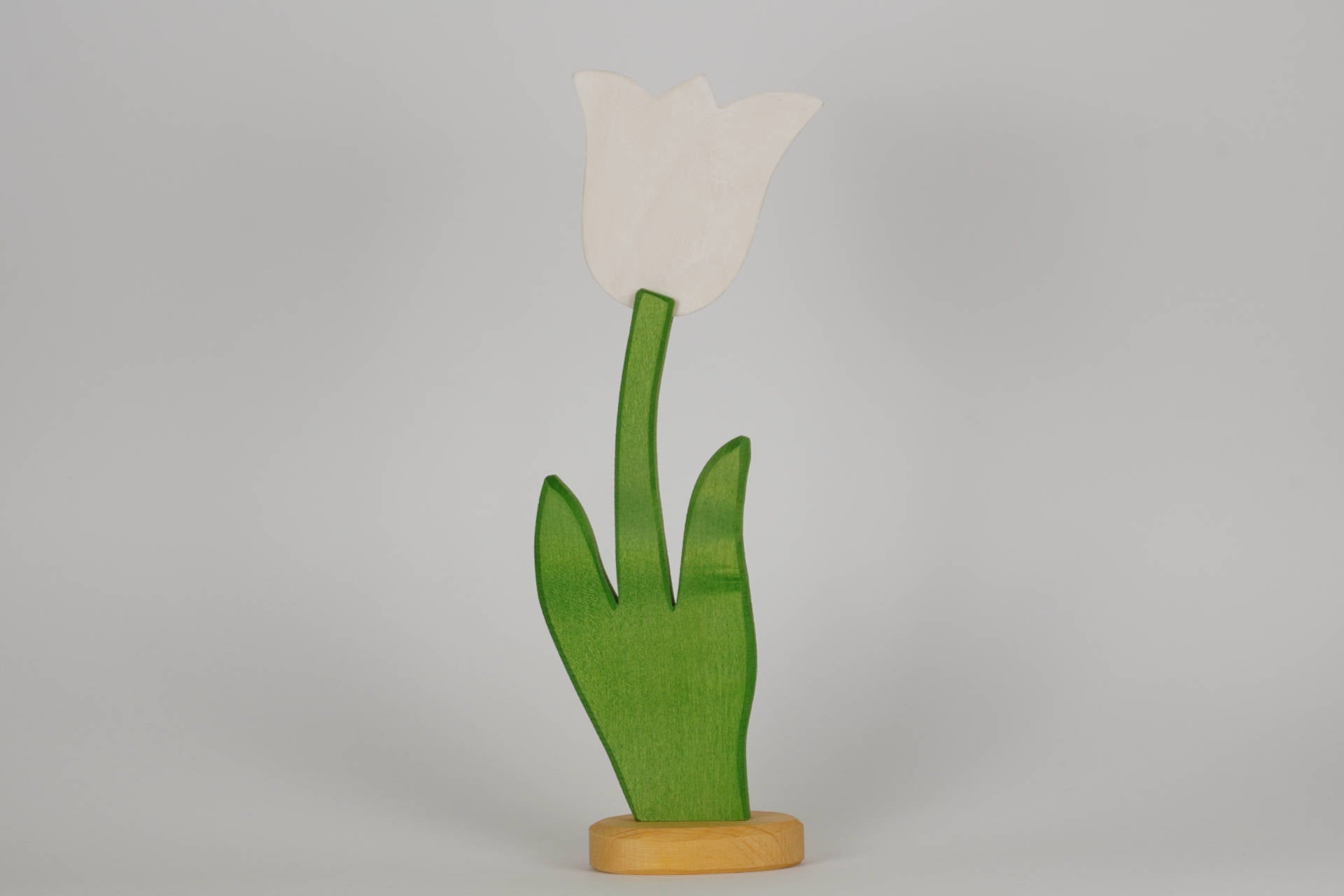 Tulpe groß weiß