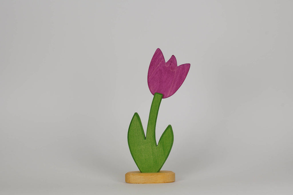 Tulpe klein brombeer