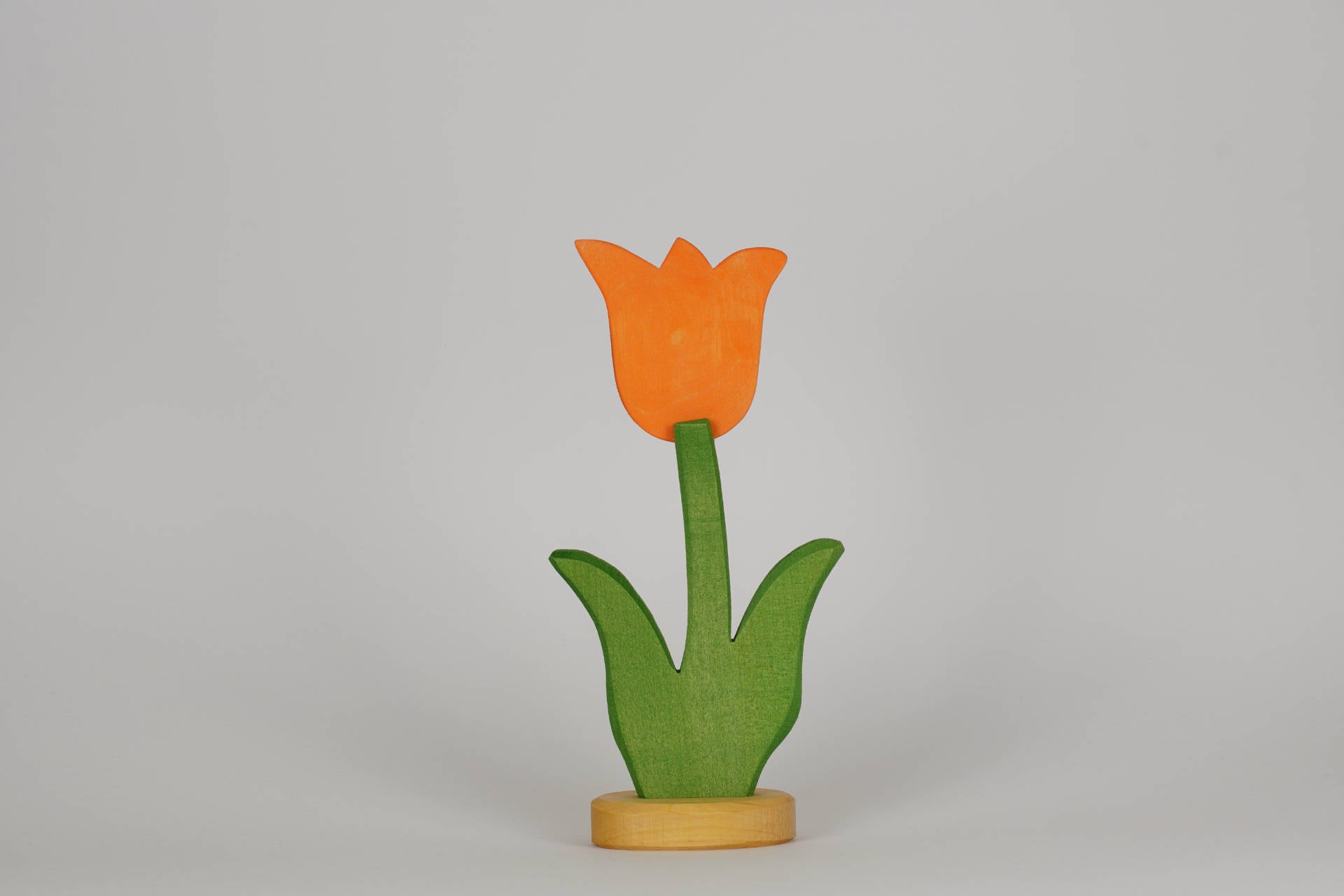 Tulpe klein orange
