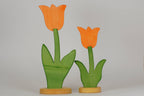 Tulpe groß orange