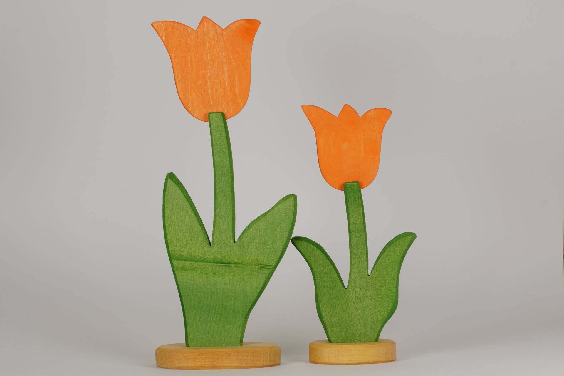 Tulpe groß orange