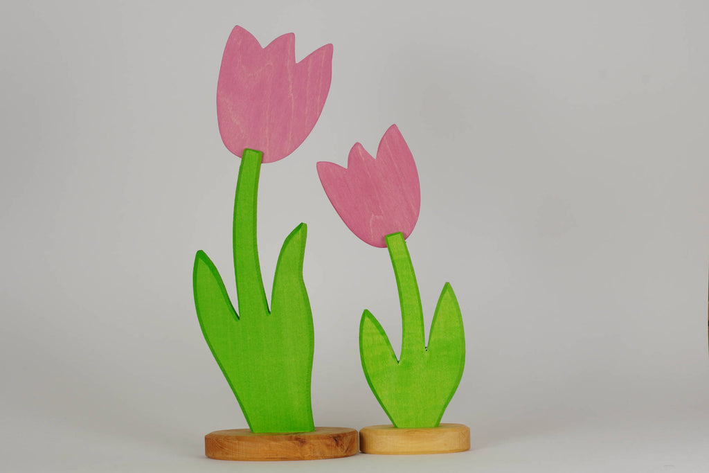 Tulpe klein rosa