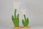 Tulpe groß weiß