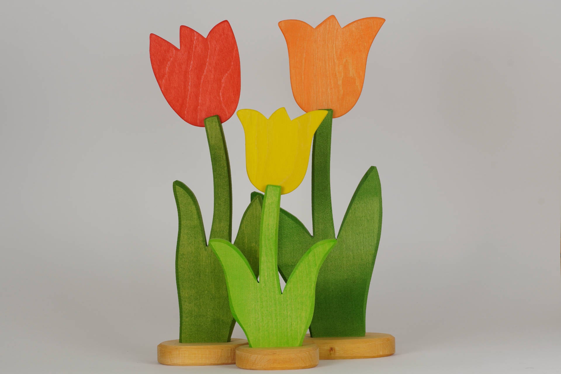 Tulpe groß orange