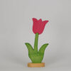 Tulpe klein pink