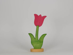 Tulpe klein pink