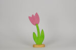 Tulpe klein rosa