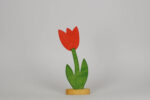 Tulpe klein rot