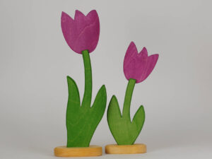 Tulpe klein und gross brombeer