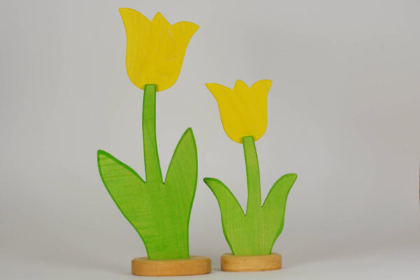 Tulpe klein und gross gelb