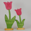 Tulpe klein und gross pink
