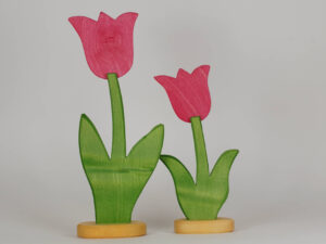 Tulpe klein und gross pink