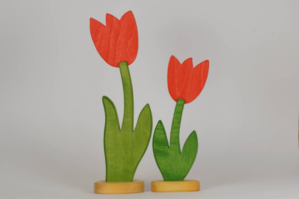 Tulpe klein und gross rot