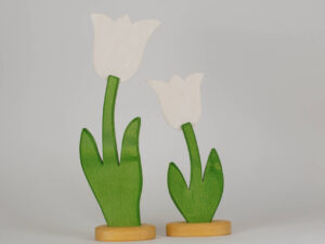 Tulpe klein und gross weiss