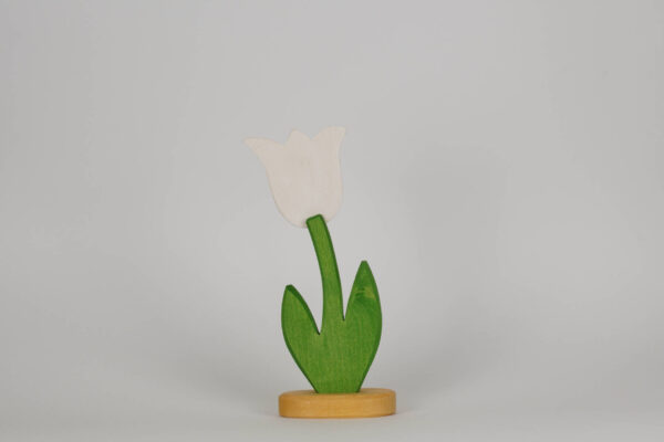 Tulpe klein weiss