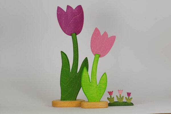 Tulpen rosa gross klein und mini