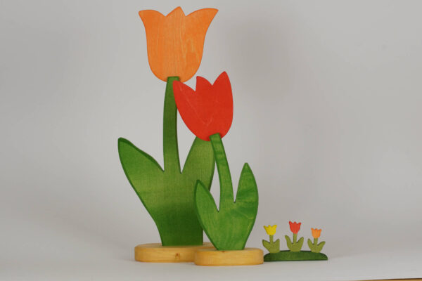 Tulpen rot gross klein und mini