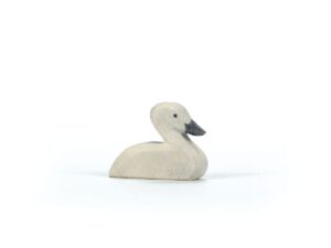 Schwan klein x