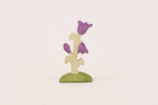 Glockenblume