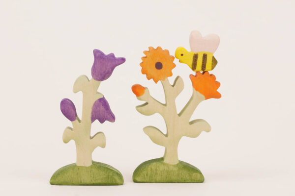 Glockenblume Ringelblume ()