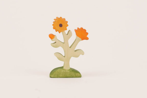 Ringelblume